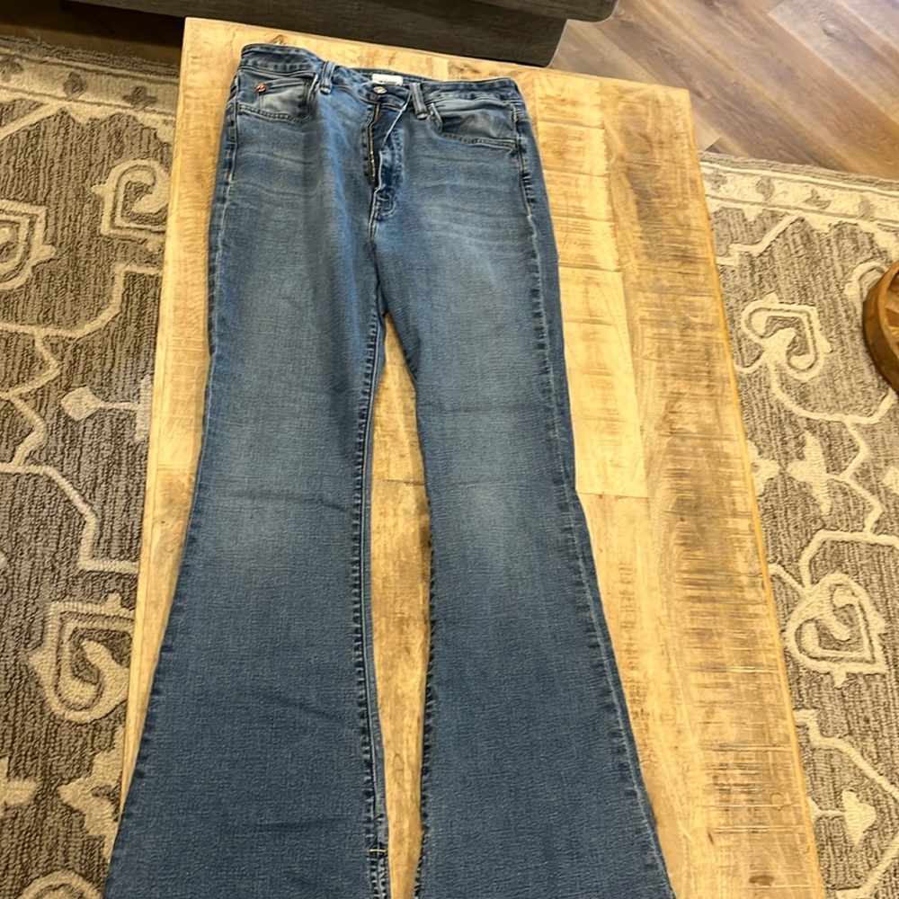 Blue Hudson Jeans Size 30